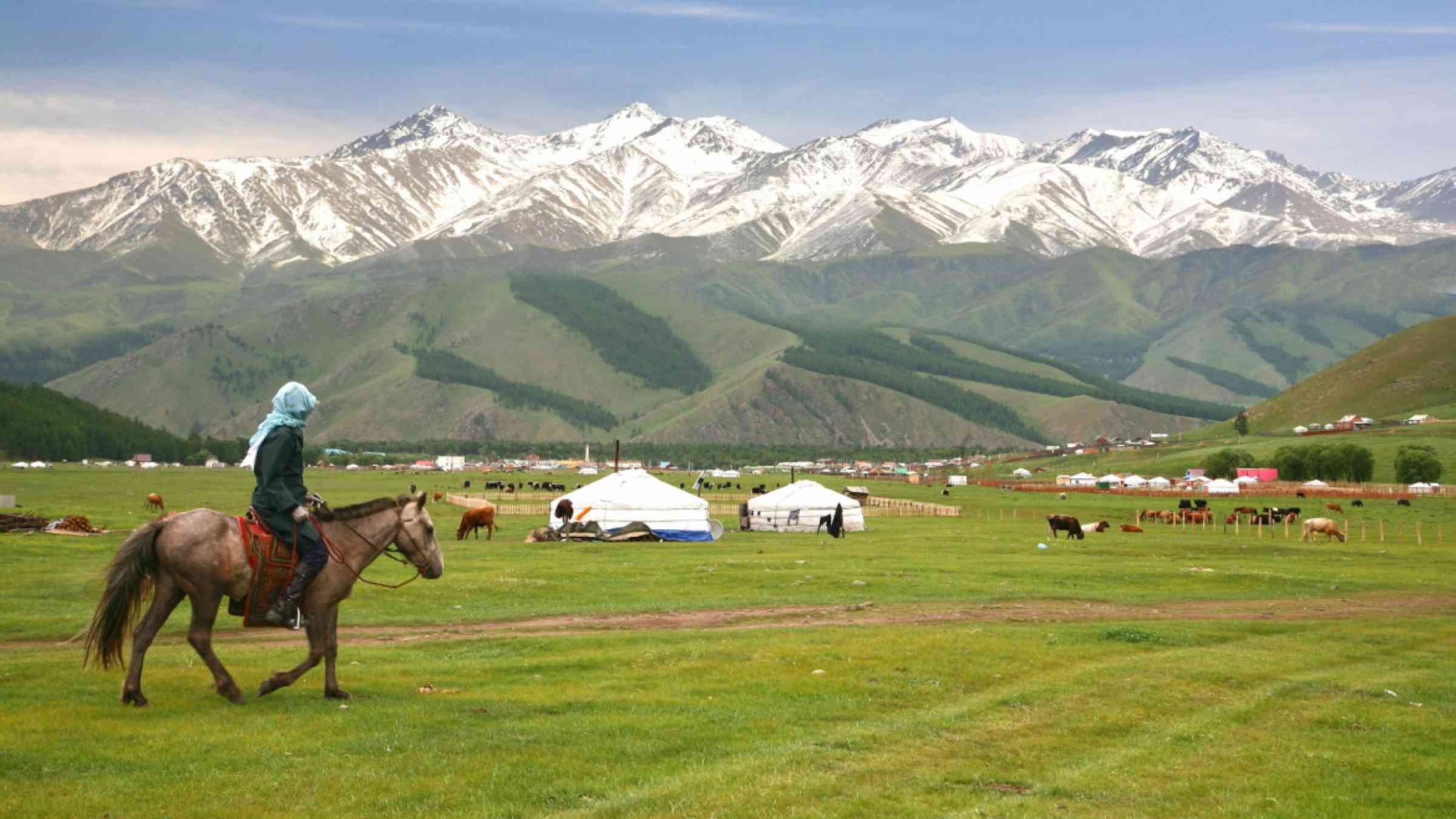 Person riding a horse in a large meadow at Naryn of Kyrgyzstan 
